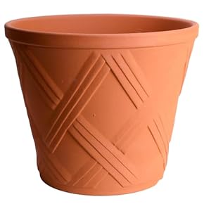 未使用 直径38cm 花葉柄 丸 深型 植木鉢 大型 レッド系 L 61i+CmpYujL._AC_UL210_SR210,